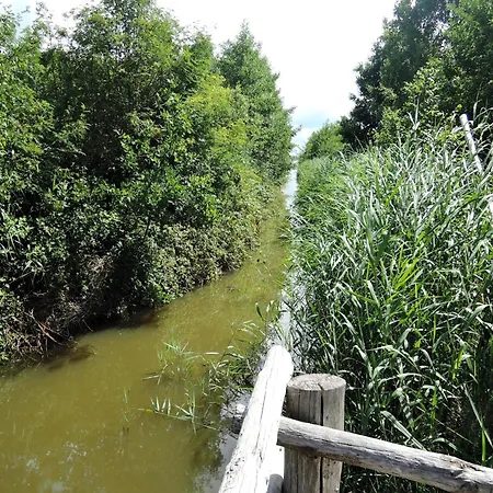 Appartement Nature & Fishing Retreat In Ko Czewo